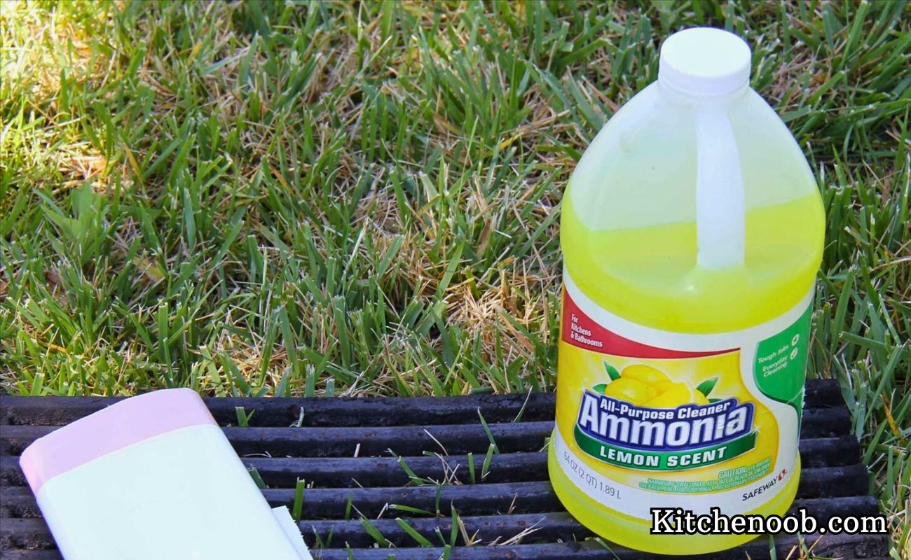  Clean an oven with Ammonia